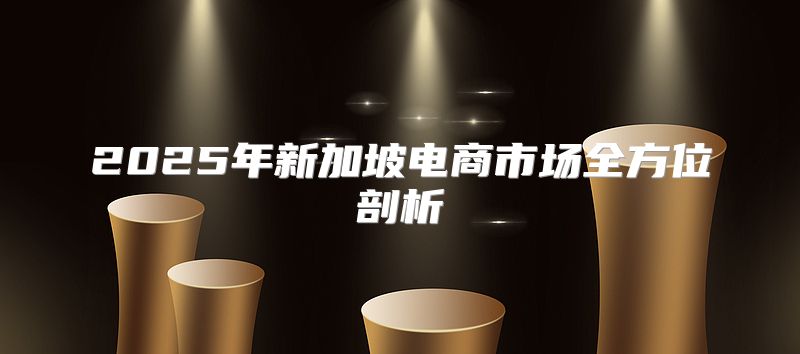 2025年新加坡电商市场全方位剖析
