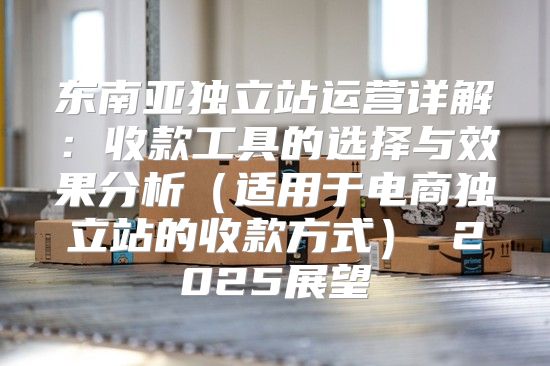 东南亚独立站运营详解：收款工具的选择与效果分析适用于电商独立站的收款方式 2025展望