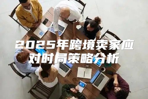 2025年跨境卖家应对时局策略分析