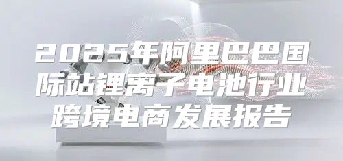 2025年阿里巴巴国际站锂离子电池行业跨境电商发展报告
