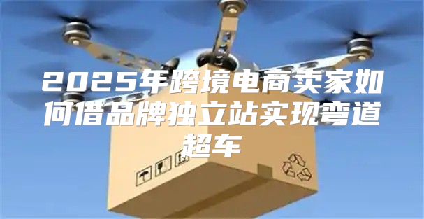 2025年跨境电商卖家如何借品牌独立站实现弯道超车
