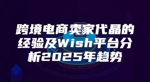 跨境电商卖家代晶的经验及Wish平台分析2025年趋势