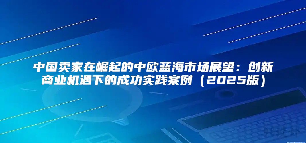 中国卖家在崛起的中欧蓝海市场展望：创新商业机遇下的成功实践案例2025版