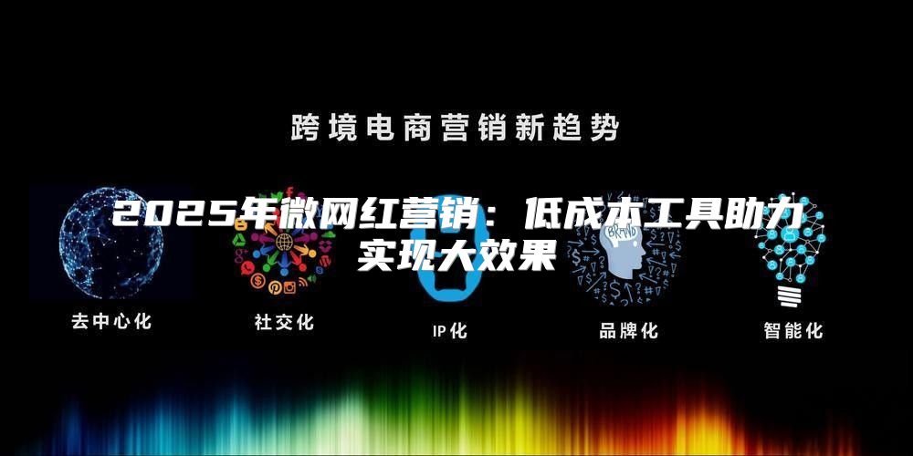 2025年微网红营销：低成本工具助力实现大效果