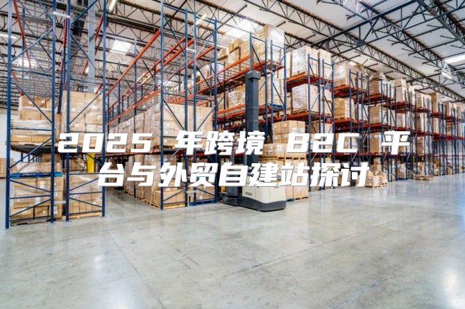 2025 年跨境 B2C 平台与外贸自建站探讨