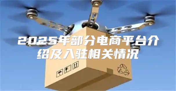 2025年部分电商平台介绍及入驻相关情况