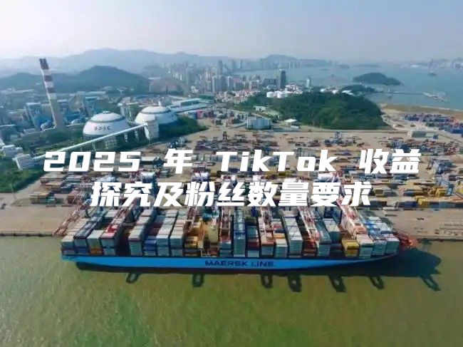2025 年 TikTok 收益探究及粉丝数量要求
