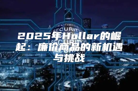 2025年Hollar的崛起：廉价商品的新机遇与挑战