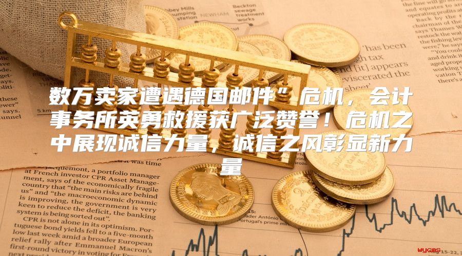 数万卖家遭遇德国邮件”危机，会计事务所英勇救援获广泛赞誉！危机之中展现诚信力量，诚信之风彰显新力量