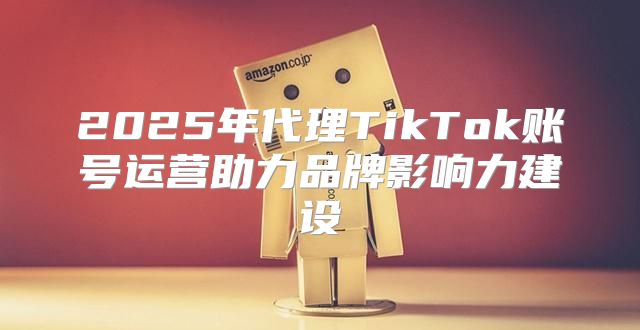 2025年代理TikTok账号运营助力品牌影响力建设