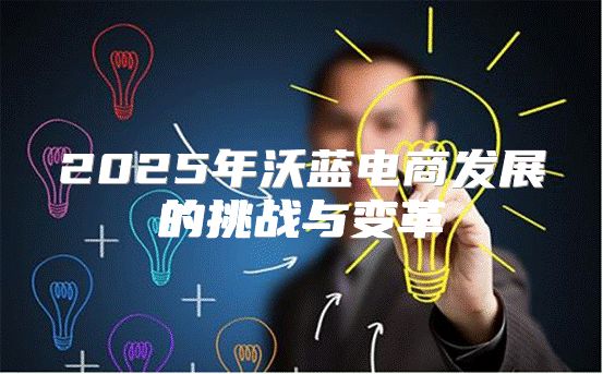 2025年沃蓝电商发展的挑战与变革