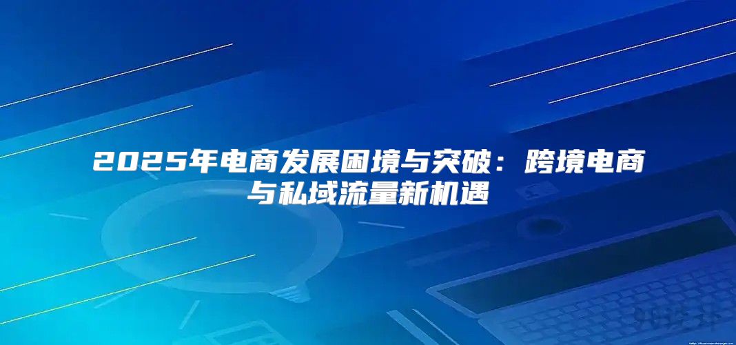 2025年电商发展困境与突破：跨境电商与私域流量新机遇