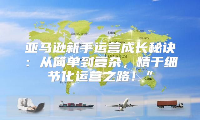 亚马逊新手运营成长秘诀：从简单到复杂，精于细节化运营之路！”
