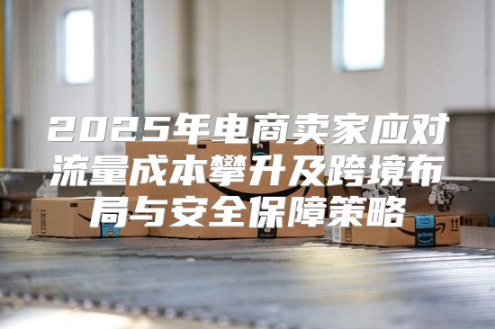2025年电商卖家应对流量成本攀升及跨境布局与安全保障策略