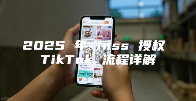 2025 年 Inss 授权 TikTok 流程详解