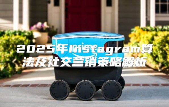 2025年Instagram算法及社交营销策略解析