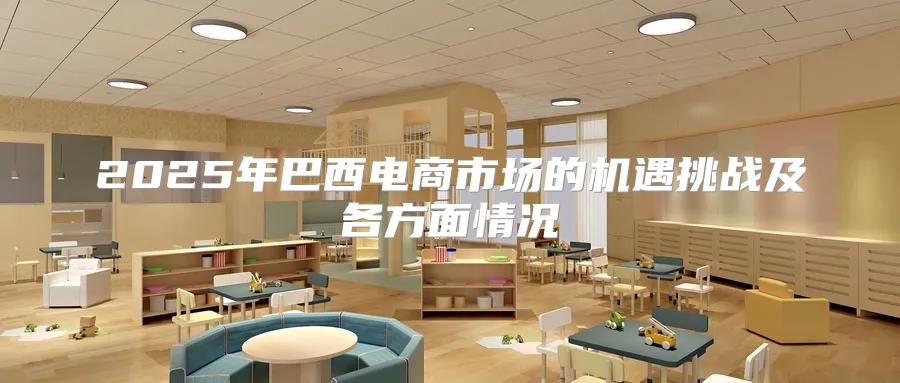 2025年巴西电商市场的机遇挑战及各方面情况