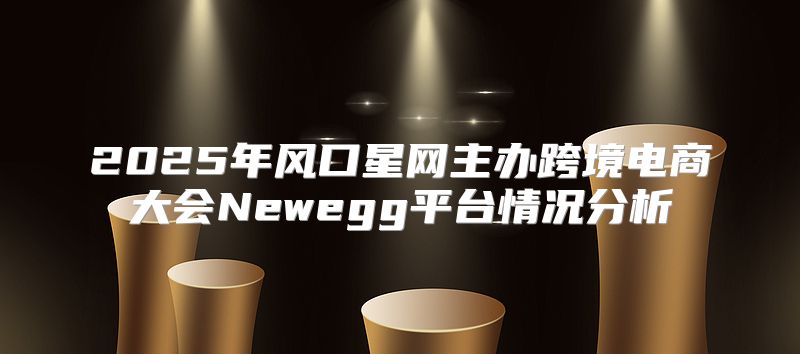 2025年风口星网主办跨境电商大会Newegg平台情况分析