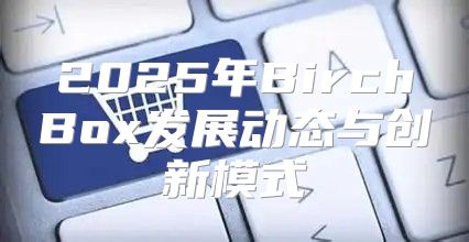 2025年BirchBox发展动态与创新模式