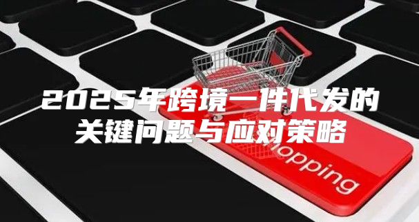 2025年跨境一件代发的关键问题与应对策略