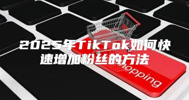 2025年TikTok如何快速增加粉丝的方法