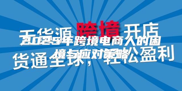 2025年跨境电商人的困境与应对策略