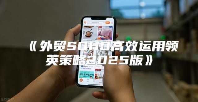 外贸SOHO高效运用领英策略2025版