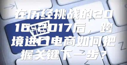 在历经挑战的2016-2017后，跨境进口电商如何把握关键下一步？
