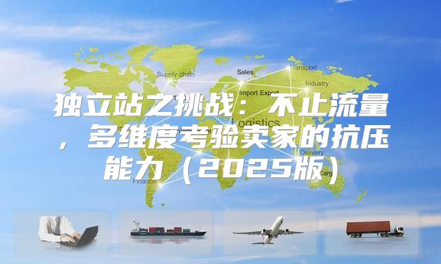 独立站之挑战：不止流量，多维度考验卖家的抗压能力2025版