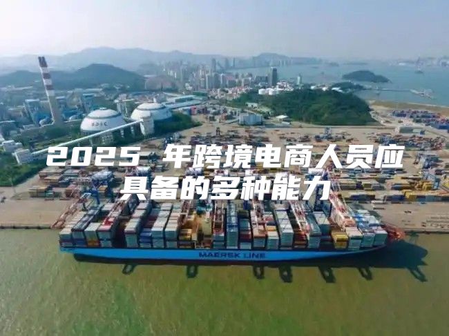 2025 年跨境电商人员应具备的多种能力