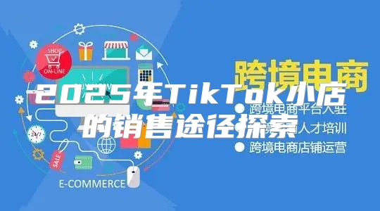 2025年TikTok小店的销售途径探索