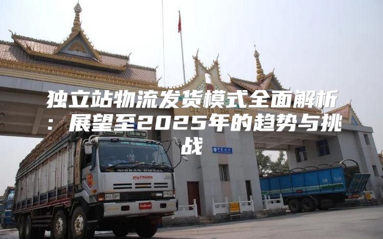 独立站物流发货模式全面解析：展望至2025年的趋势与挑战