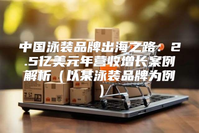 中国泳装品牌出海之路：2.5亿美元年营收增长案例解析以某泳装品牌为例