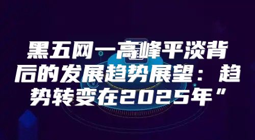 黑五网一高峰平淡背后的发展趋势展望：趋势转变在2025年”