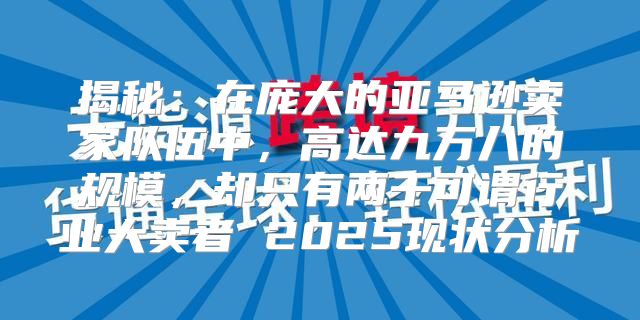 揭秘：在庞大的亚马逊卖家队伍中，高达九万八的规模，却只有两千可谓行业大卖者 2025现状分析