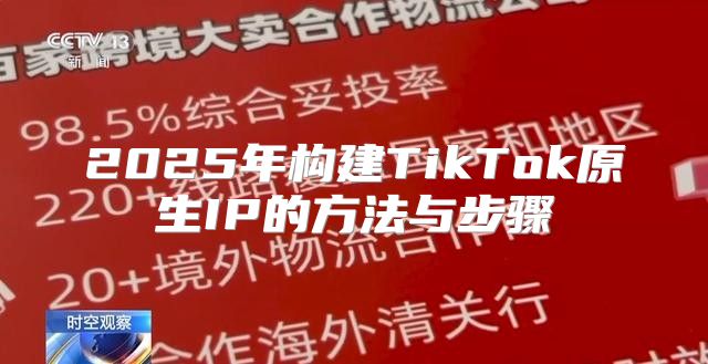 2025年构建TikTok原生IP的方法与步骤
