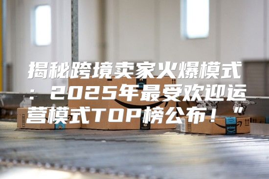 揭秘跨境卖家火爆模式：2025年最受欢迎运营模式TOP榜公布！”