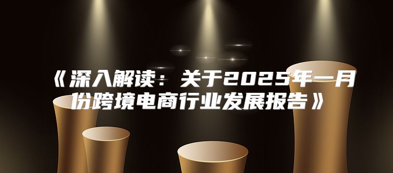 深入解读：关于2025年一月份跨境电商行业发展报告
