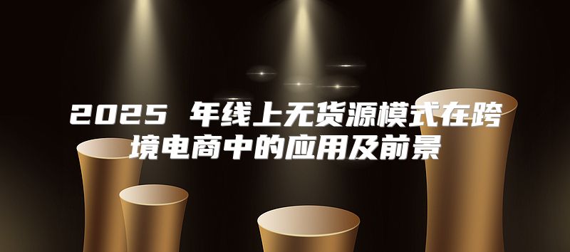 2025 年线上无货源模式在跨境电商中的应用及前景