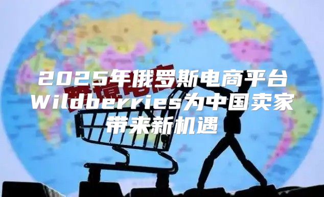 2025年俄罗斯电商平台Wildberries为中国卖家带来新机遇