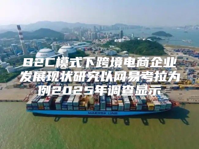 B2C模式下跨境电商企业发展现状研究以网易考拉为例2025年调查显示