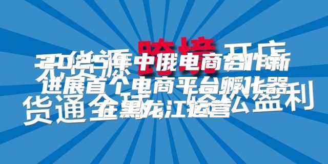 2025年中俄电商合作新进展首个电商平台孵化器在黑龙江运营
