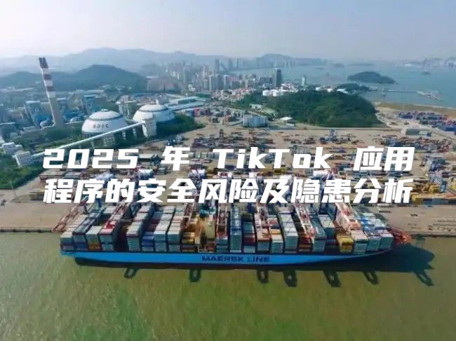 2025 年 TikTok 应用程序的安全风险及隐患分析
