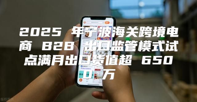 2025 年宁波海关跨境电商 B2B 出口监管模式试点满月出口货值超 6500 万