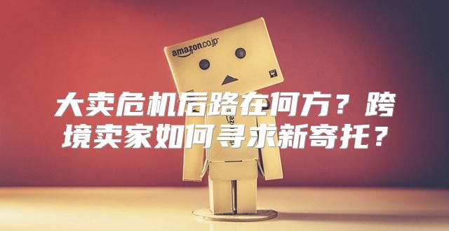 大卖危机后路在何方？跨境卖家如何寻求新寄托？