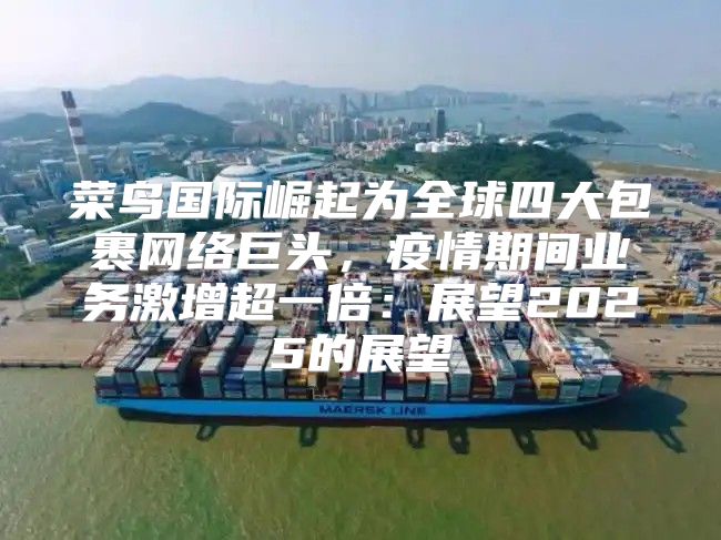 菜鸟国际崛起为全球四大包裹网络巨头，疫情期间业务激增超一倍：展望2025的展望