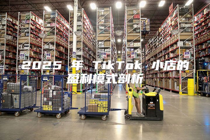 2025 年 TikTok 小店的盈利模式剖析