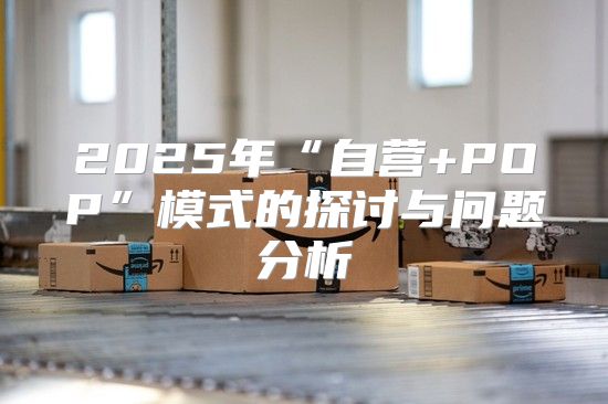 2025年“自营+POP”模式的探讨与问题分析