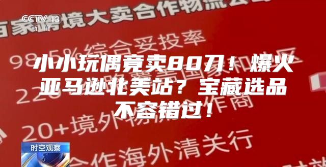 小小玩偶竟卖80刀！爆火亚马逊北美站？宝藏选品不容错过！