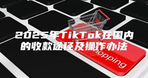 2025年TikTok在国内的收款途径及操作办法